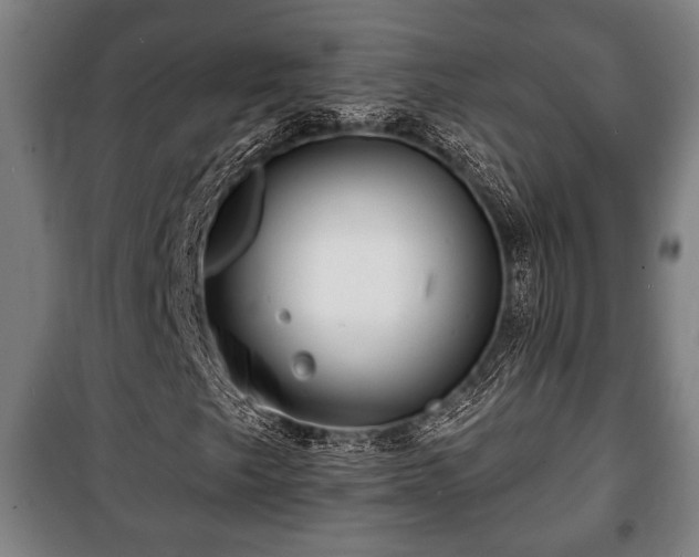 X0000100841249200806271104