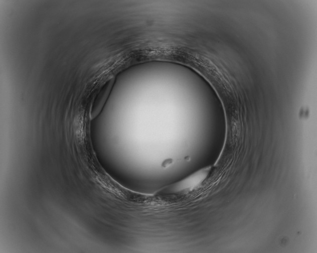 X0000100841250200806271104