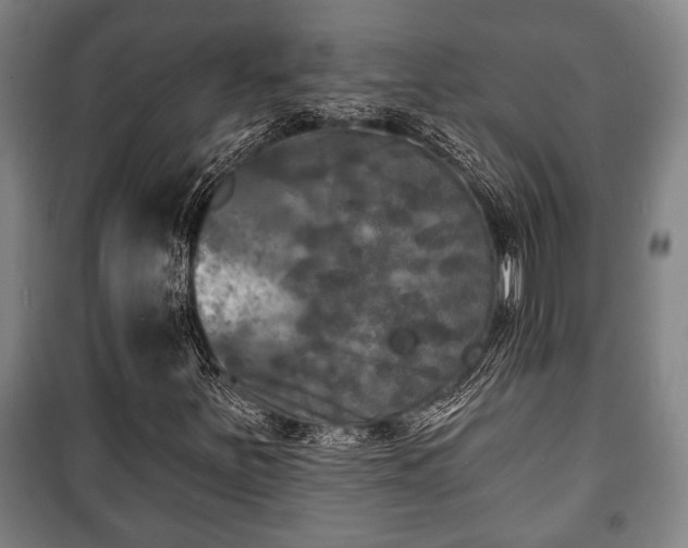 X0000100841251200806271104