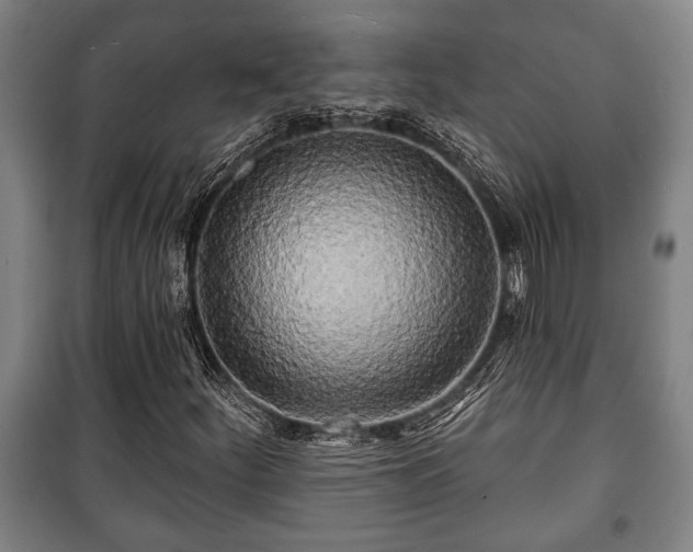 X0000100841252200806271104