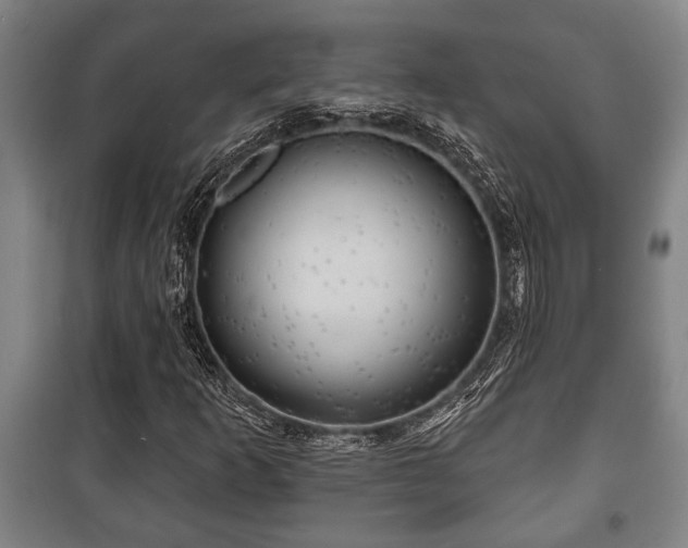 X0000100841253200806271104