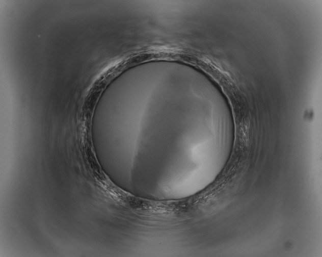 X0000100841254200806271104