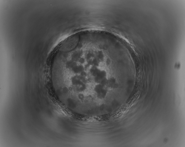 X0000100841255200806271104