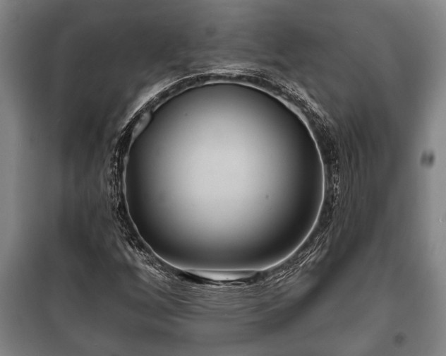 X0000100841256200806271104