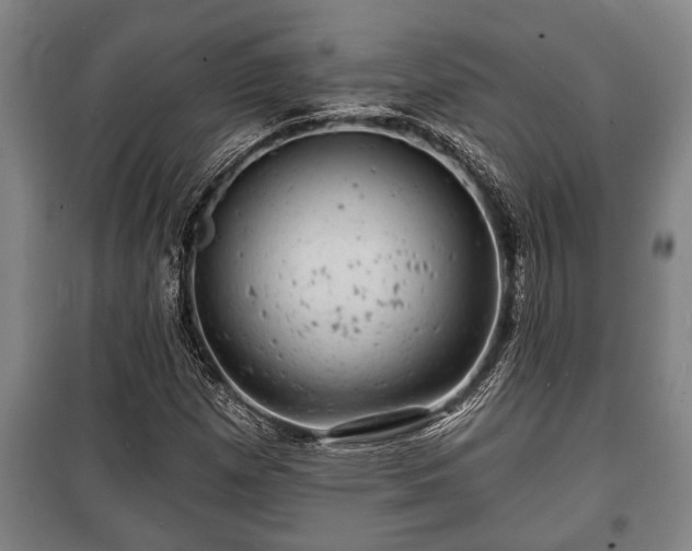 X0000100841257200806271104