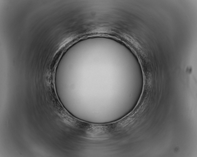 X0000100841258200806271104