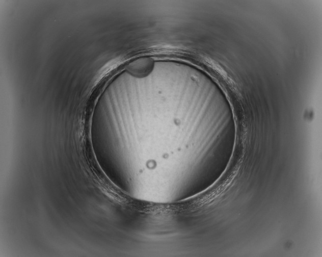 X0000100841259200806271104