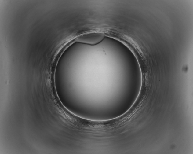 X0000100841260200806271104