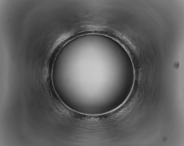 X0000100841261200806271104