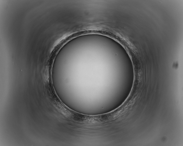 X0000100841262200806271104