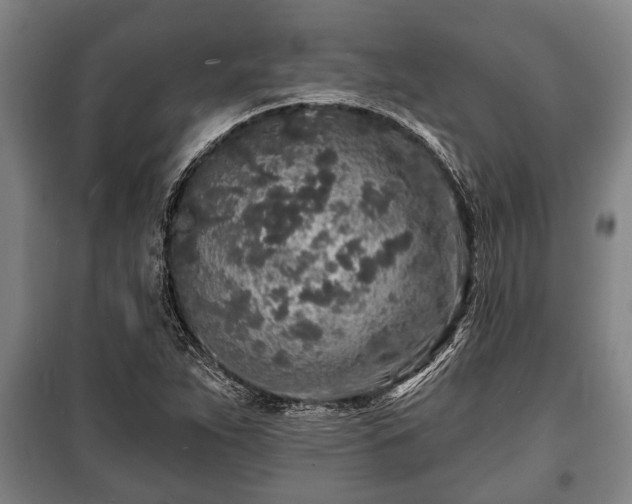 X0000100841263200806271104