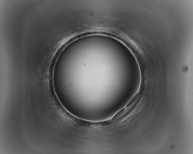 X0000100841264200806271104