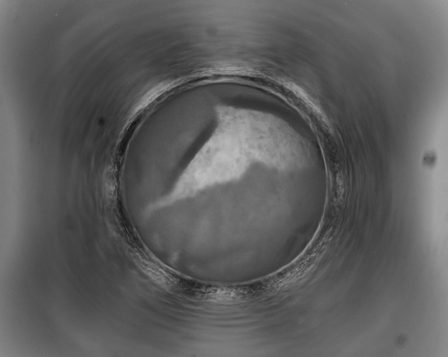 X0000100841266200806271104