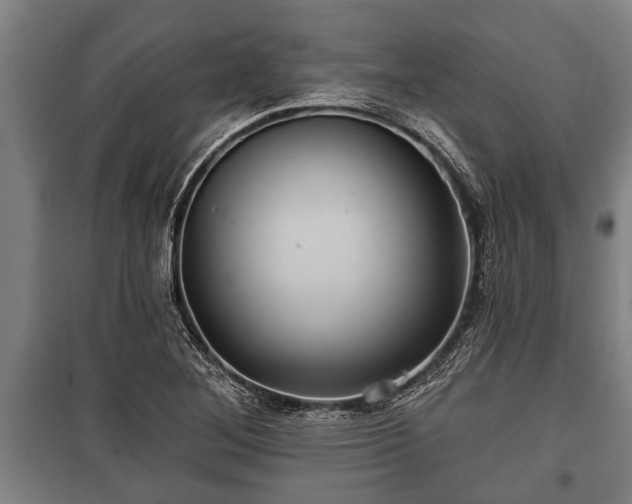 X0000100841268200806271104