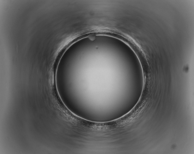 X0000100841269200806271104