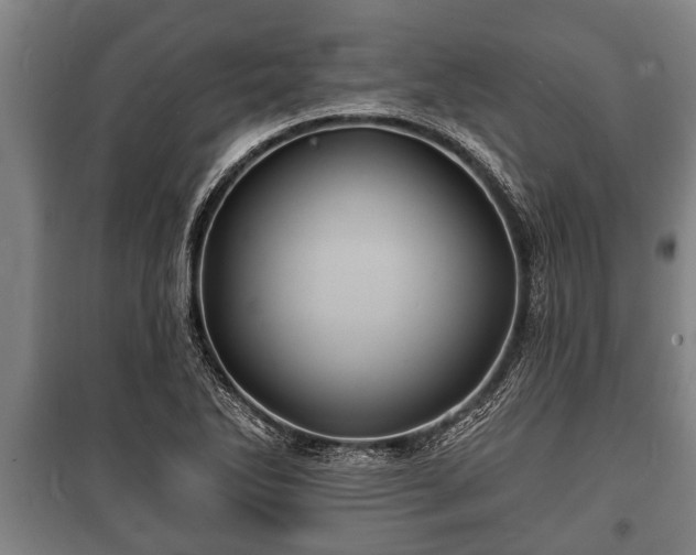 X0000100841270200806271104