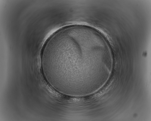 X0000100841271200806271104