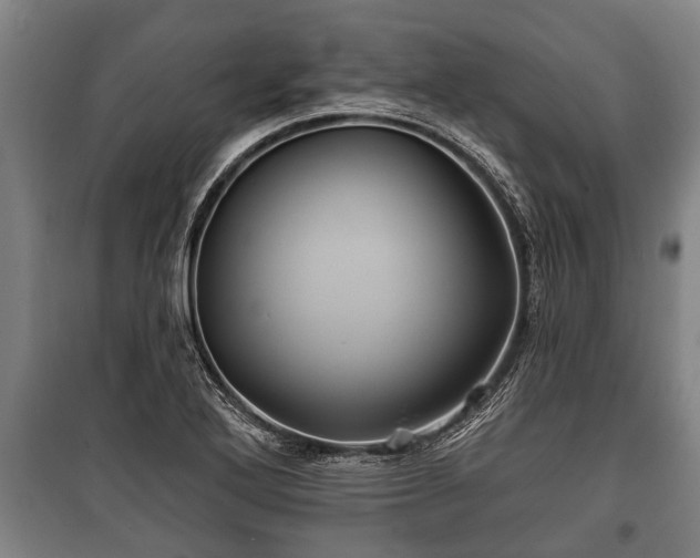 X0000100841272200806271104