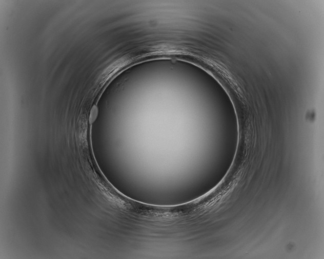 X0000100841273200806271104