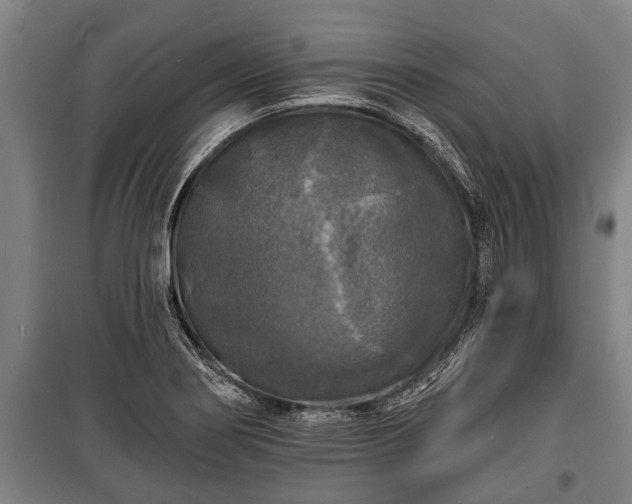 X0000100841274200806271104