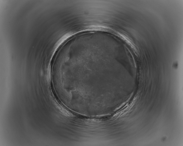 X0000100841275200806271104