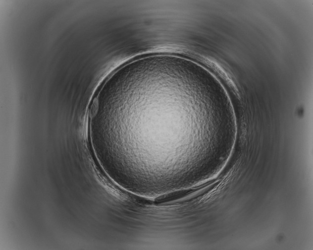 X0000100841276200806271104