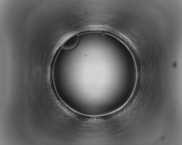 X0000100841277200806271104