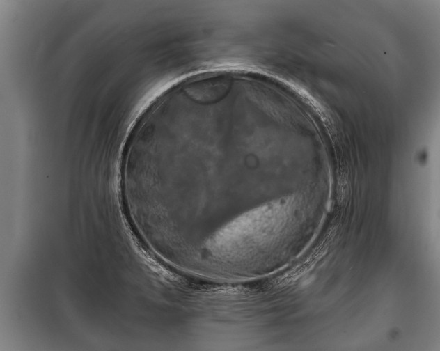 X0000100841279200806271104