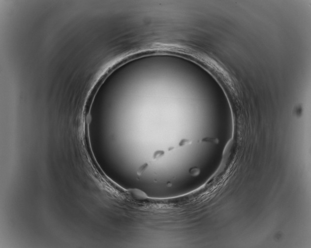 X0000100841280200806271104