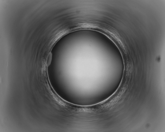 X0000100841281200806271104