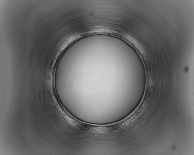 X0000100841282200806271104