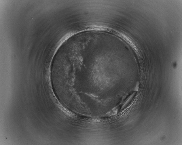 X0000100841283200806271104