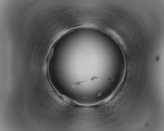 X0000100841284200806271104