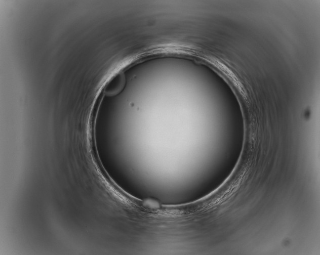 X0000100841285200806271104