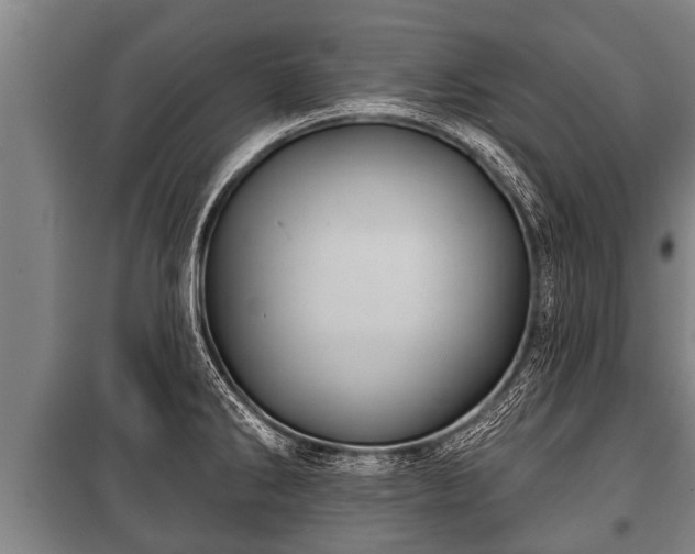 X0000100841286200806271104