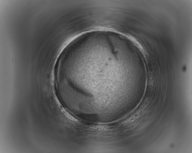 X0000100841287200806271104