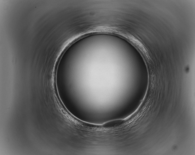 X0000100841288200806271104