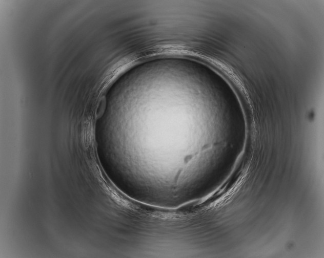 X0000100841289200806271104