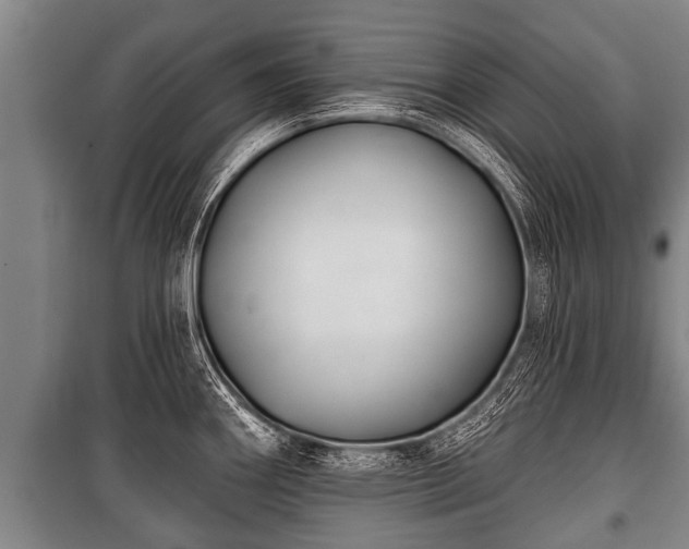 X0000100841290200806271104