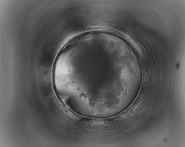 X0000100841291200806271104