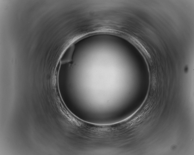 X0000100841292200806271103