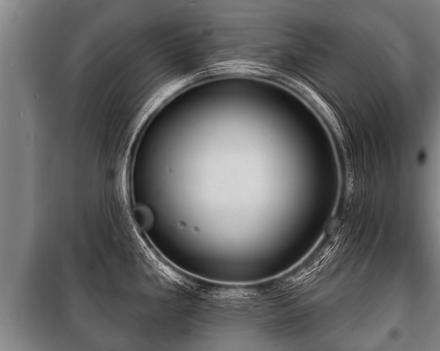 X0000100841293200806271103