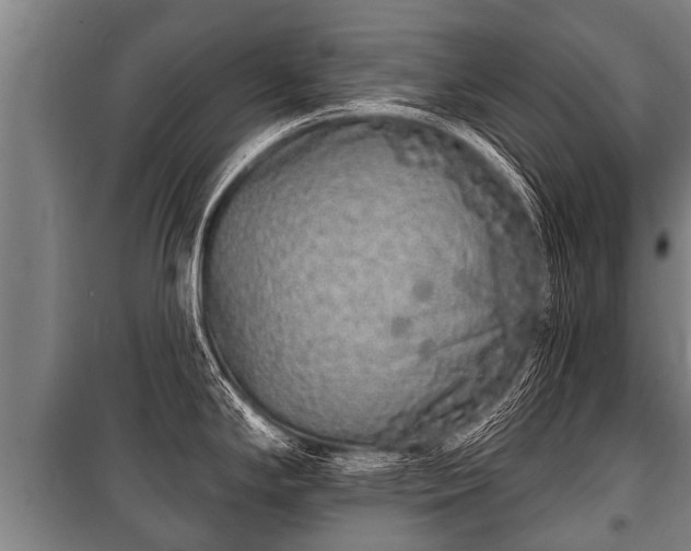 X0000100841294200806271103