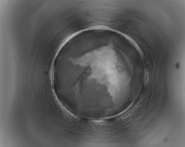 X0000100841295200806271103