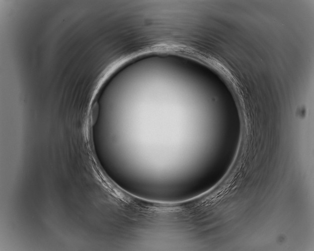 X0000100841296200806271103