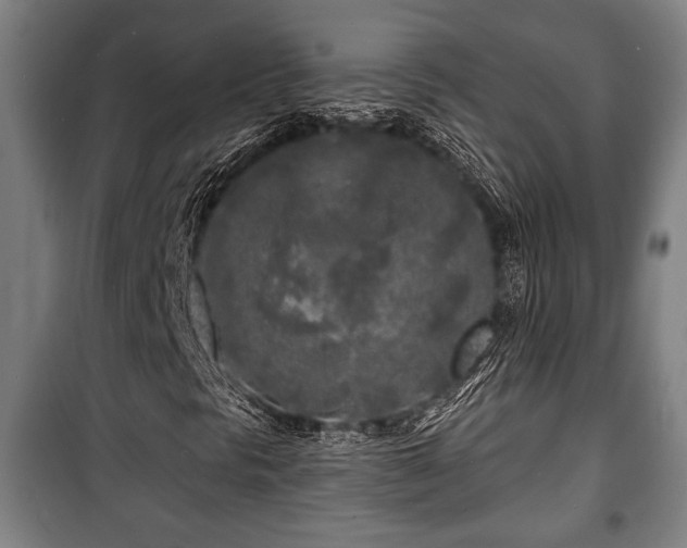 X0000100841297200806271103