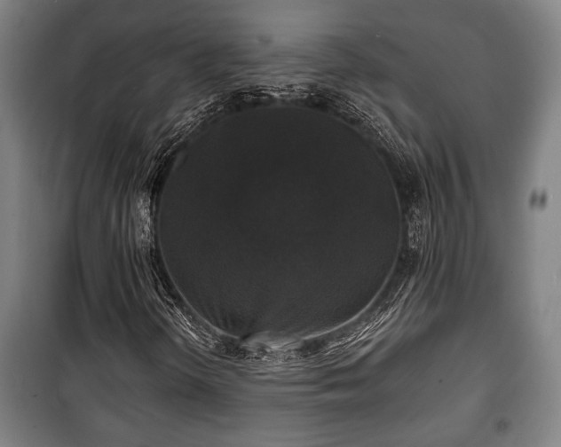 X0000100841298200806271103