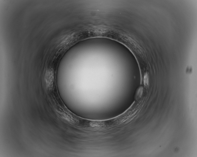 X0000100841299200806271103