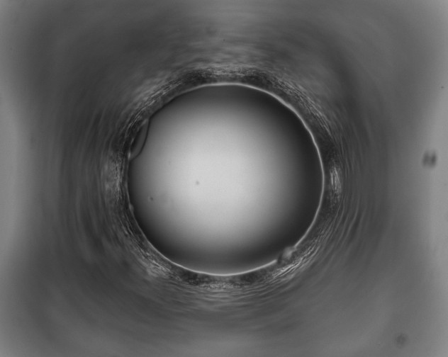 X0000100841300200806271103