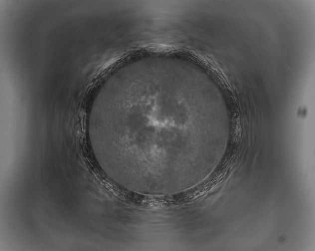 X0000100841301200806271103